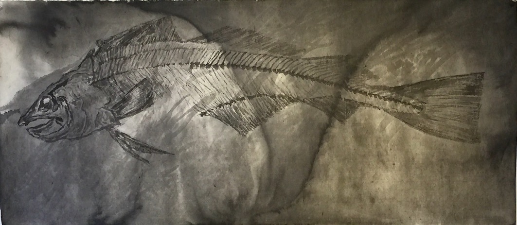 Fish 3 魚 3 72 X 32 cm Sumi ink 墨　about 2013